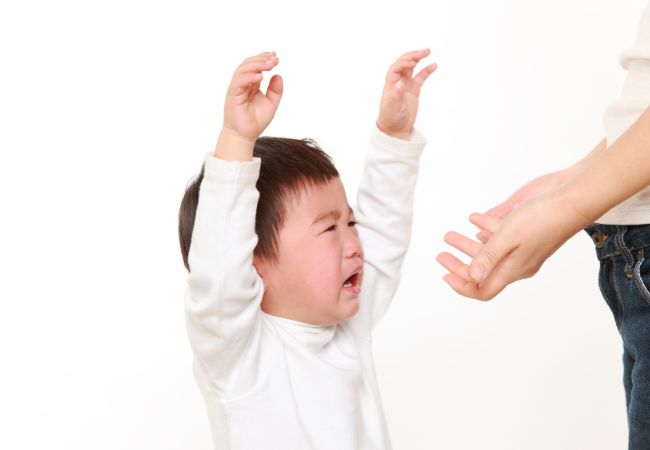 両手を上げ泣き顔で大人に向かう男の子